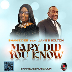 Mary Did You Know (Covered by) Shanie Dee feat. James Bolton