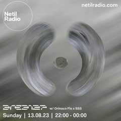 Netil Radio /w Orinoco Flo x SSS