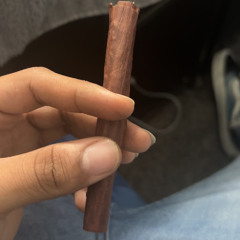 duck w / hensicc(winterzboi)