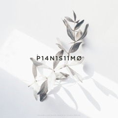 P14N1SS1MØ #03 (with OP-XY)