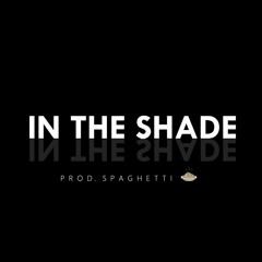 In The Shade (DNB)