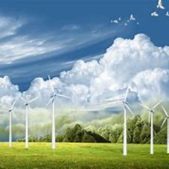 lessons in the wind