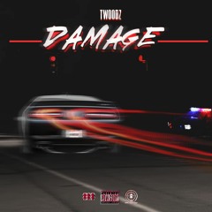 Twoodz-Damage