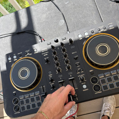 RIBS X DISTURBIA HOUSE REMIX