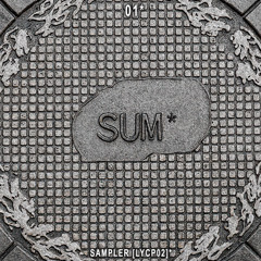 SUM* SAMPLER01*