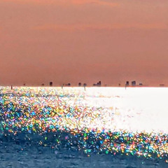 Ocean Calls
