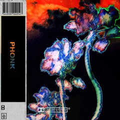 PHONK [PROD. STAIN] *MUSIC VIDEO IN DESCRIPTION