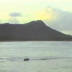 Lil Darkie - I Can See Clearly Now Slowed (Hydro Flip)