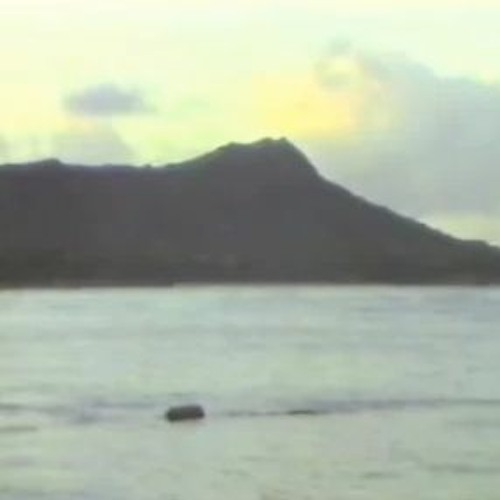 Stream Lil Darkie I Can See Clearly Now Slowed (Hydro Flip) by hydro