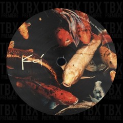 Premiere: Raveld - Truth Is Boring [Koi Series]
