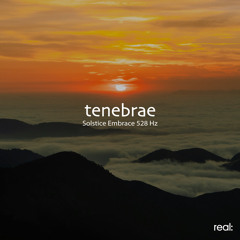 Solstice Embrace 528 Hz