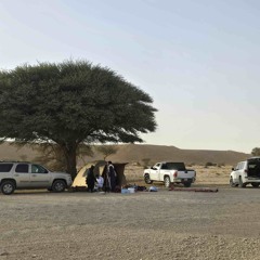 لا شفت صدرك من كثر ضيقته مل عقلا الفهيقي