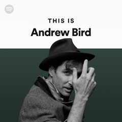 This Is Andrew Bird