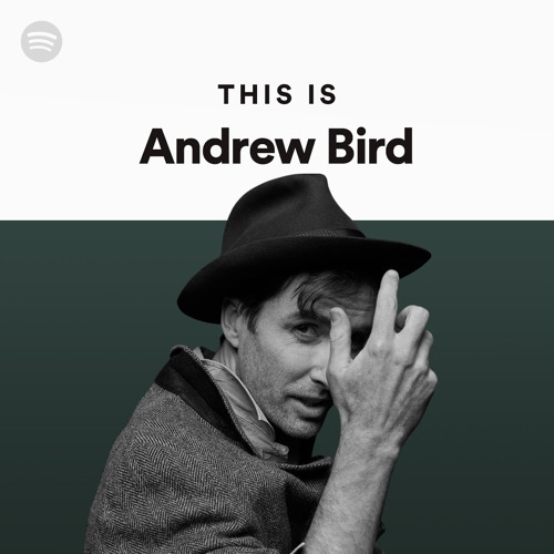 This Is Andrew Bird