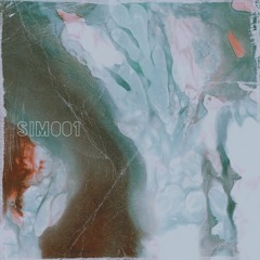 PREMIERE I R.Simon - Undetectable [SIM001]