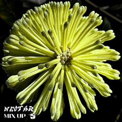 Moss - NECTAR Mix // triple j Mix Up