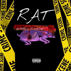 RAT (Ft. XivPrada & DBN Baby)