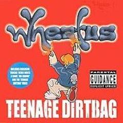 Wheatus - Teenage Dirtbag (A Tony Phoenix Edit)