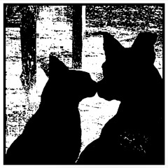 Christmas Lights (w/ someone you can call)