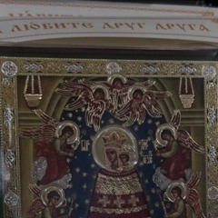 рптл - dead friends