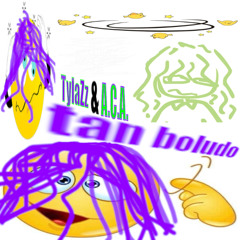 tan boludo