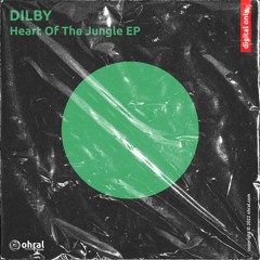 Dilby - Throwing Stones - Ohral Recordings