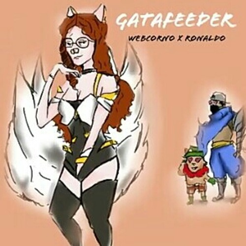 Gata Feeder 😺 - webcorno