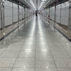 아나킨 프로젝트 - 아메리카로 떠난 딸