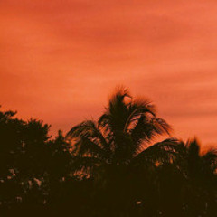 Pink + White Remix