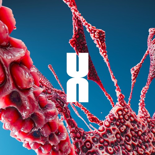 Premiere: MAURER — Paso En Falso [TRSN034]