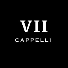 MUSIK VII (MIXED BY CAPPELLI)