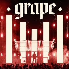 Denes Toth @ Grape Festival 2024