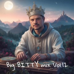 BigBITTYmix Vol.12