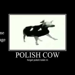 polish cow song