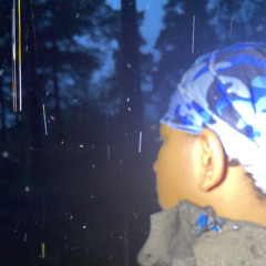 LM (feat. my pet dog ty)