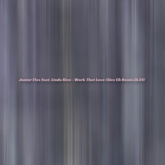 Junior Flex Feat. Linda Rice - Work That Love (Alex Ch Remix 2k24)