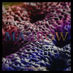 Marrow