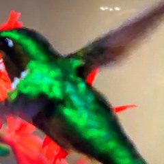 1VS1000 - Fighta FFFight (Life Or Lie...)