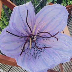 Fête de la Musique 21.06.2025 Holz & Hygge Jena