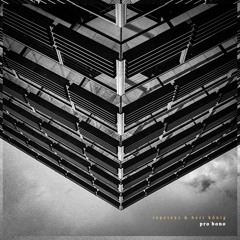 Herr König | Repete23 | Pestizid - Partners in Boom