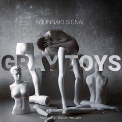 Gray Toys