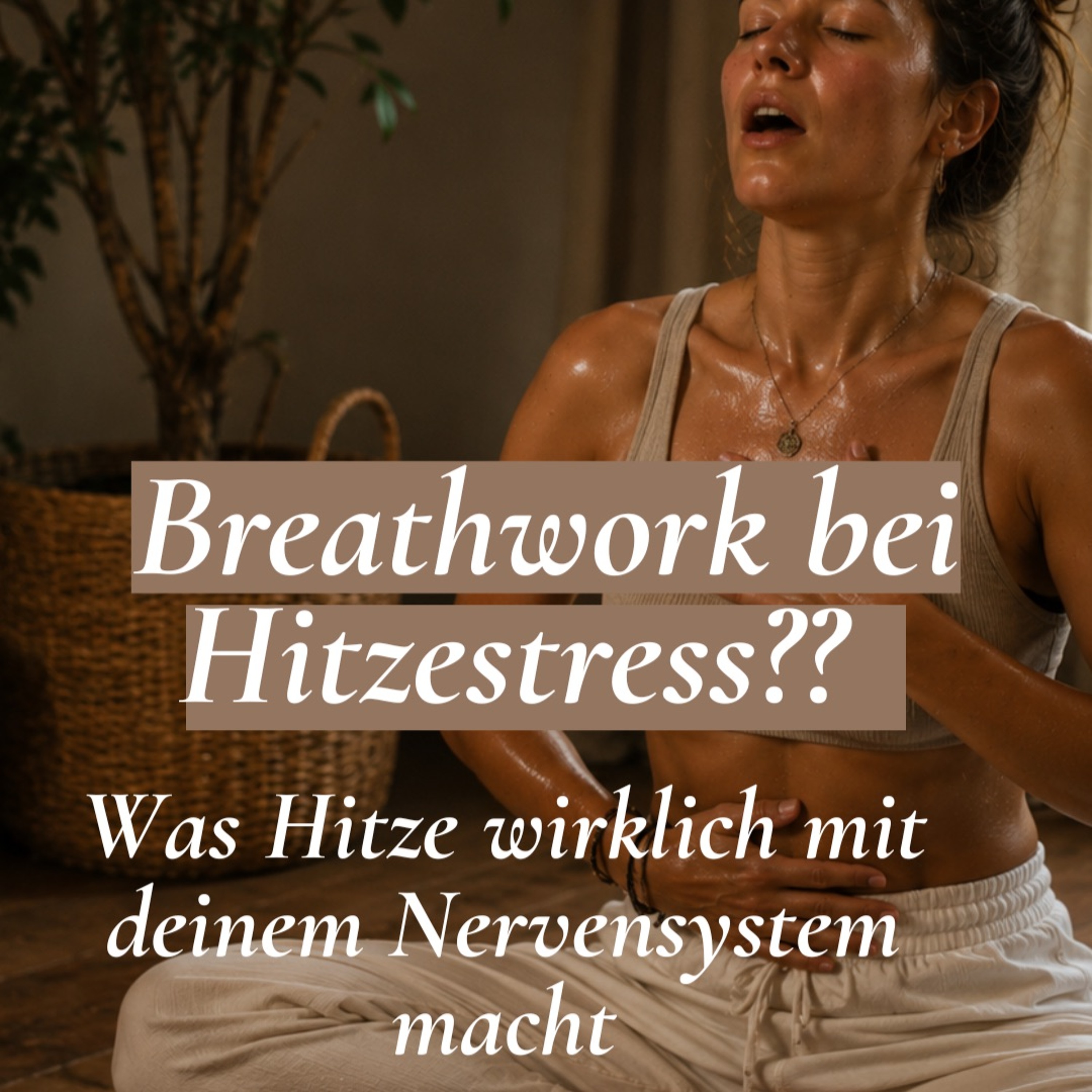 Breathwork bei Hitzestress – Was Hitze mit deinem Nervensystem nacht episode artwork