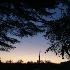 banditos-les champignon...