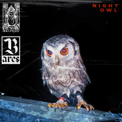 Night Owl