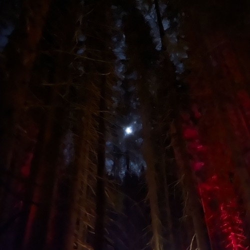 PLAGSOMPLAGSOMPLAGSOMPLAGSOM