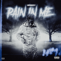 Brizzy - Pain In Me