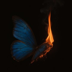 Lost Feeling @ Sex & Smoking - Chapter 1