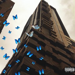 BEEN THRU HELL Ft. T-Codee