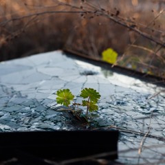 Sprælle ep13 — Sprælle & Rosei City