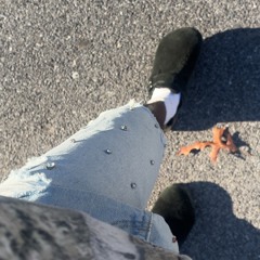 100Pills *nell [DjnellExclusive].m4a